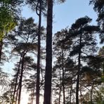 Imogen Harris - Facebook