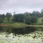 Imogen Henderson - Facebook