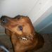 Imogene Herzer - Facebook