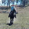 Imogene H - @imogeneh - TikTok