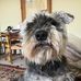 Imogen Hooper - Facebook