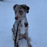 imogen hubbard - @my_opie - Instagram