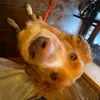 Imogen Maxwell - @imogen.maxwell - TikTok