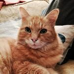 Imogen Morris - @imogen.morris.754 - Instagram