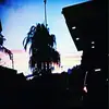 Imogen McGrath-Patterson - @imogenmcgrathpatt - TikTok
