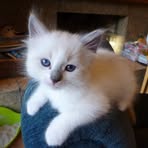 Imogene Pedigo - Facebook