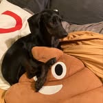 Imogene Roach - @imoroach - Instagram
