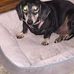 Imogene Taylor - Facebook