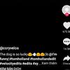 ImogeneWolfER21097 - @imogenewolfer21097 - TikTok
