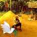 Imoh Akpan - Facebook