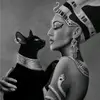 IMPERIA - @imperia445 - TikTok