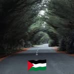 Imran Abdool - Facebook