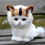 Imran Aleem - @aleem9542 - Instagram