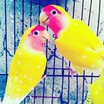 ÏmRäÑ ÅmJåD - @imran_amjad__ - Instagram