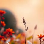 Imran Amjad - Facebook