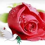 Malik Imran Amjad - @imran._amjad - Instagram