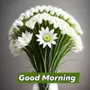 IMRAN AWAN - @imran.awan199 - TikTok