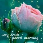 Imran Azam - @imran.azam.16144 - Instagram