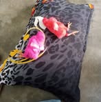Imran Azam - Facebook