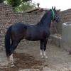 imran baksh - @imranbaksh01 - TikTok