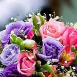 Imran Chang - @chang.imran - Instagram