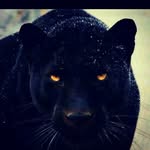 Imran Ali chatha - @imranali3450 - Instagram