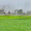 Imran chatha - @imran.chatha4 - TikTok