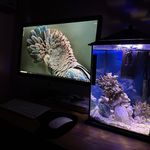 Imran Chaudry - @immy_photos - Instagram