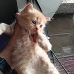imran_david_ - @imran_david_ - Instagram