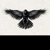 IMRAN DEAN - @dragonfly8_9 - TikTok