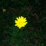 imran_ehsan - @imran_ehsan12345 - Instagram