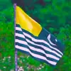 Hasham Imran - @hasham.imran53 - TikTok