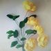 Imran Imam - Facebook