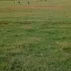 Imran Imam - @imran.imam48 - TikTok