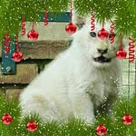 Imran Imam - @imam_imran - Instagram