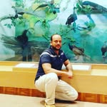 Imran imam majhari - @imranimammajhari - Instagram