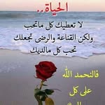 Imran Jalil - @imran.jalil.391 - Instagram