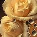 Imran Javed - Facebook