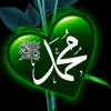 imran_Javed - @imran_javed16 - TikTok