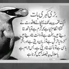 Imran Jawed - @imranjawed17 - TikTok
