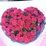 Imran Khatib - @imran_khatib_272 - Instagram