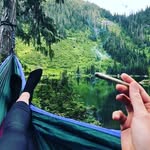 Imran Majeed - @imran_malik_7869 - Instagram