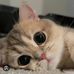 Imran Masud - Facebook
