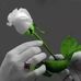 Imran Mehmood - Facebook
