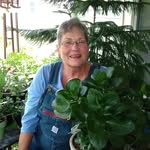 Tina Abbott - @tinam.abbott - Instagram