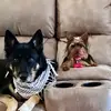 Gina Cantrell - @gina_cantrell - TikTok