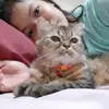 inaespinosa38 - @inaespinosa38 - TikTok