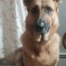 Ina Frank - Facebook