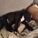Gilbert Marie Tina - @tinagilbert6008 - Instagram