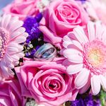 Ina Gilbert - @honigkuchenpferdchen.ina - Instagram